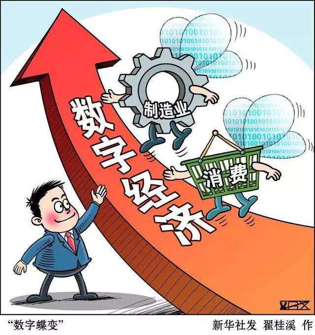 刘世锦：衡量经济工作要转向“质量决定速度”