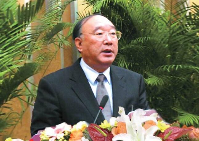 中国国际经济交流中心副理事长、原重庆市市长 黄奇帆