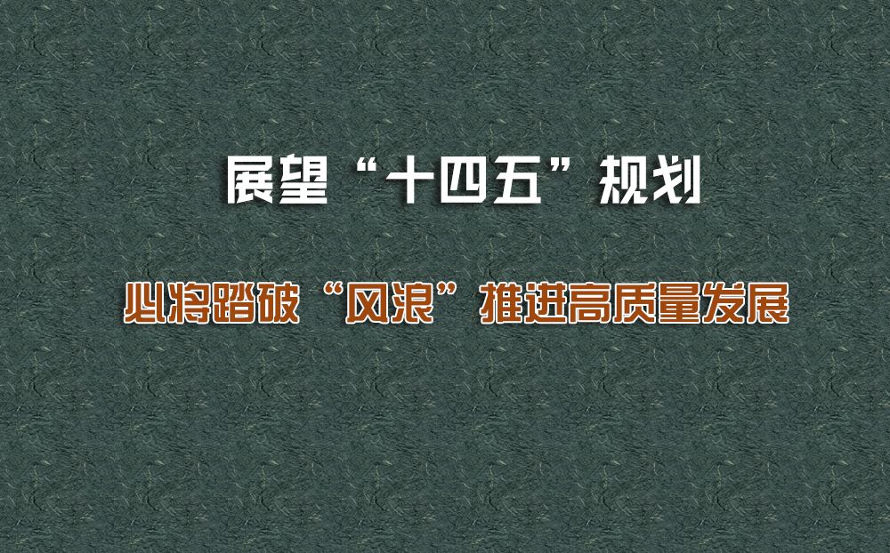 展望“十四五”规划  必将踏破“风浪”推进高质量发展