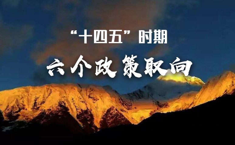 “十四五”时期的六个政策取向