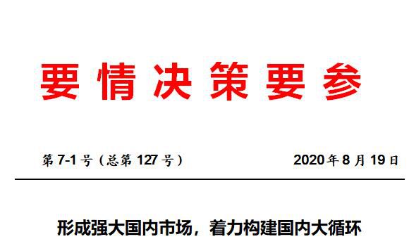 形成强大国内市场，着力构建国内大循环