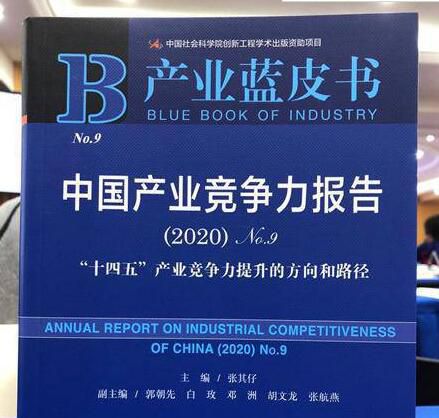 中国产业竞争力报告