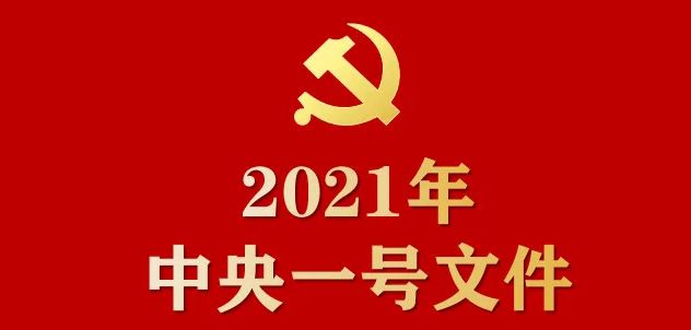 中共中央 国务院关于全面推进乡村振兴加快农业农村现代化的意见