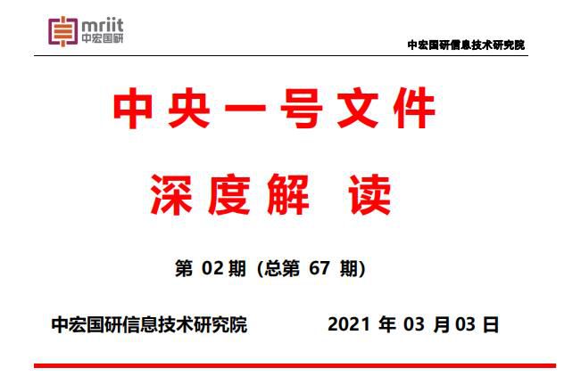 2021年中央一号文件的解读报告