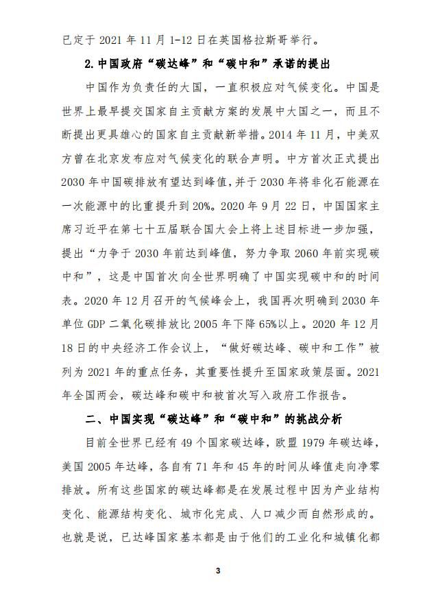“十四五”时期推动“碳达峰”“碳中和”的建议