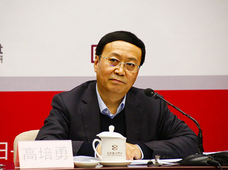 高培勇 中国社会科学院副院长、党组成员