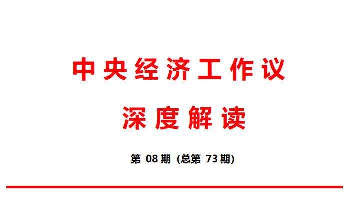 2021年中央经济工作会议解读