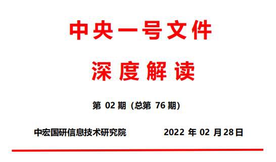 2022年中央一号文件深度解读