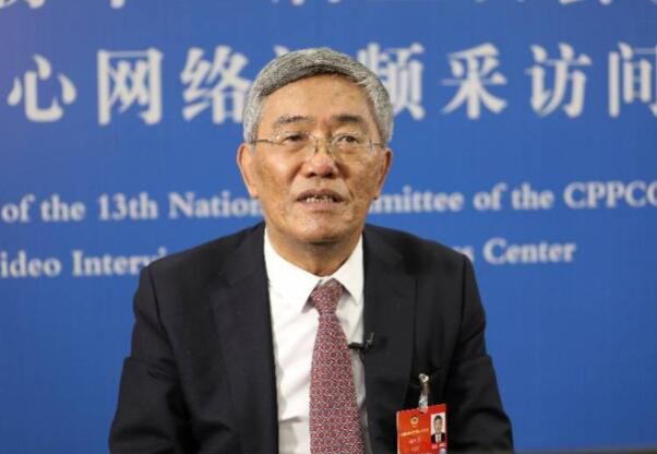 全国政协常委、全国政协经济委员会副主任杨伟民