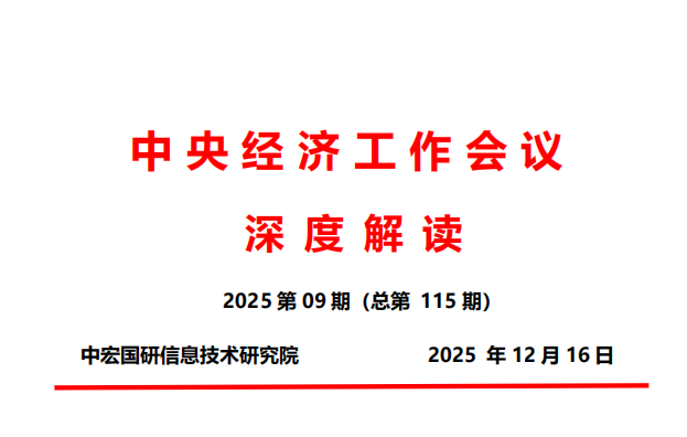2025年中央经济工作会议深度解读