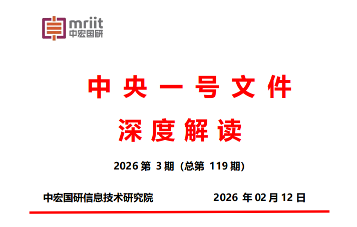 2026年中央一号文件精神深度解读