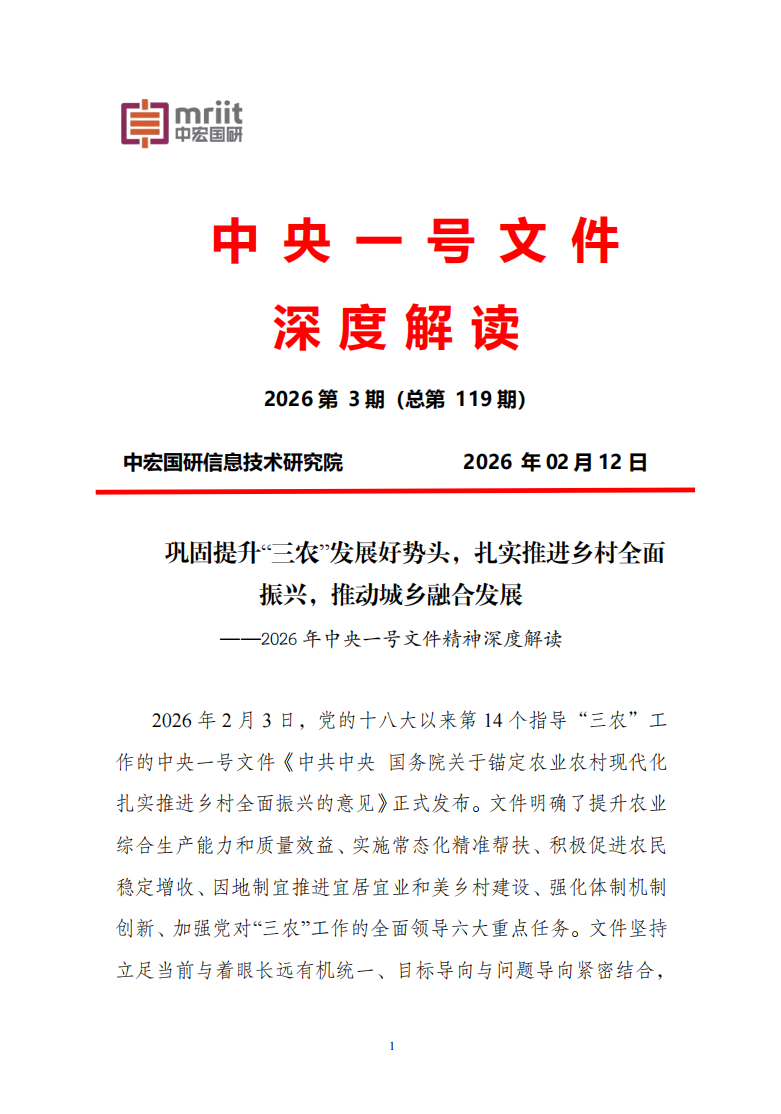 2026年中央一号文件精神深度解读