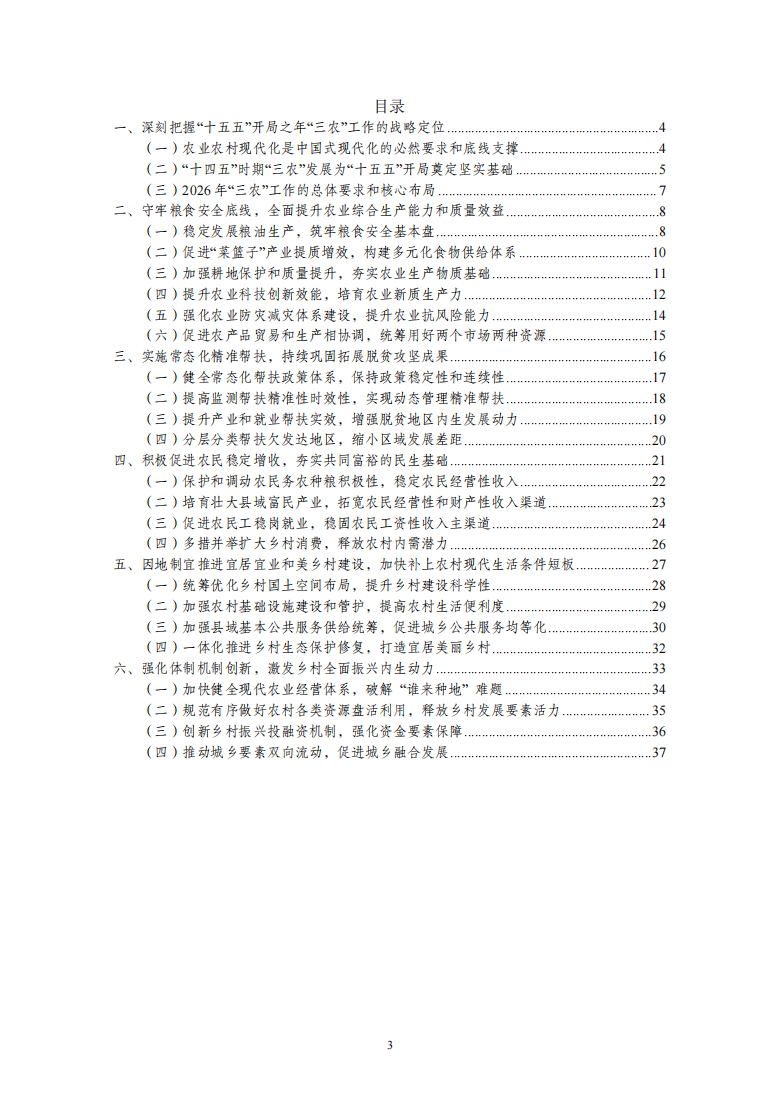 2026年中央一号文件精神深度解读2